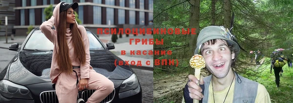мет Аркадак