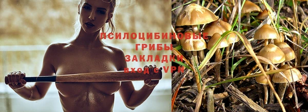ешки Армянск