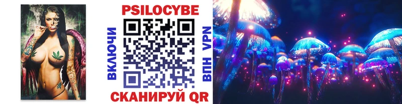 Псилоцибиновые грибы Psilocybe  где продают   Ивдель 